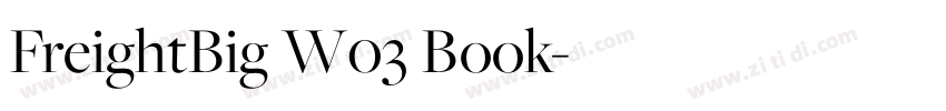 FreightBig W03 Book字体转换